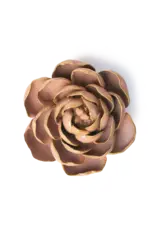 Chive Ceramic Flower Rose Pink Big Ben Peony FR16