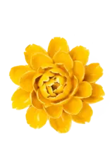 Chive Ceramic Flower Burnt Yellow Empire Cabbage Flower FR14