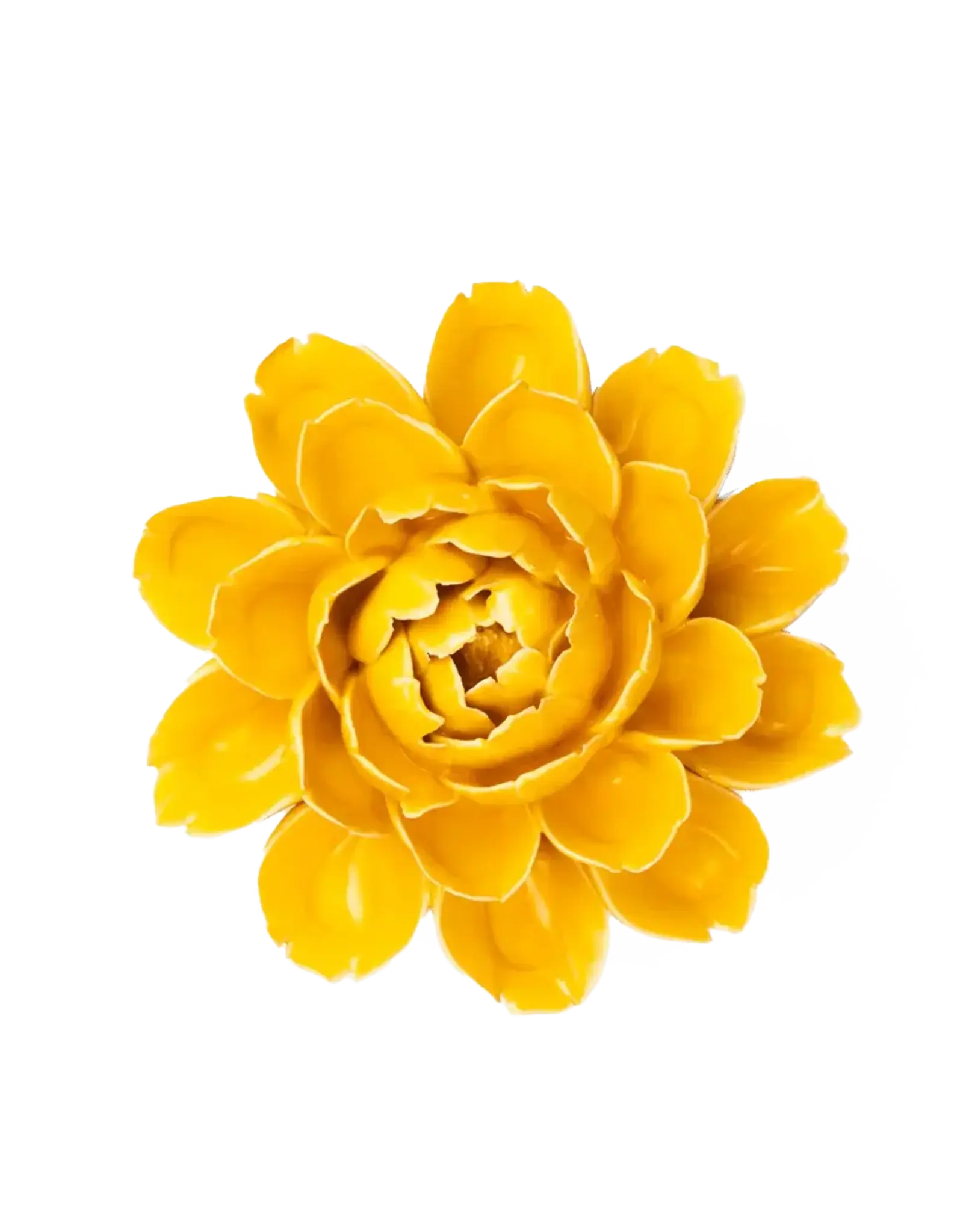 Chive Ceramic Flower Burnt Yellow Empire Cabbage Flower FR14