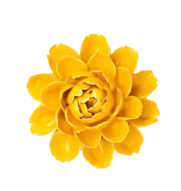 Chive Ceramic Flower Burnt Yellow Empire Cabbage Flower FR14
