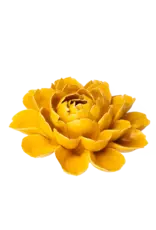 Chive Ceramic Flower Burnt Yellow Empire Cabbage Flower FR14