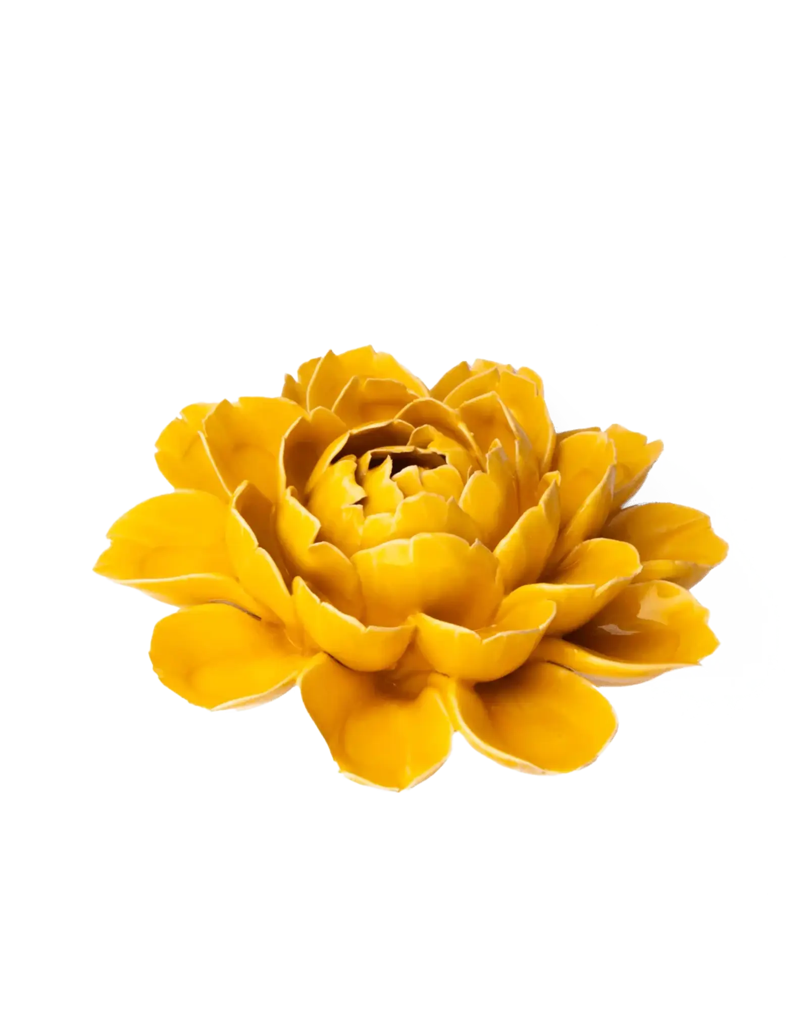 Chive Ceramic Flower Burnt Yellow Empire Cabbage Flower FR14