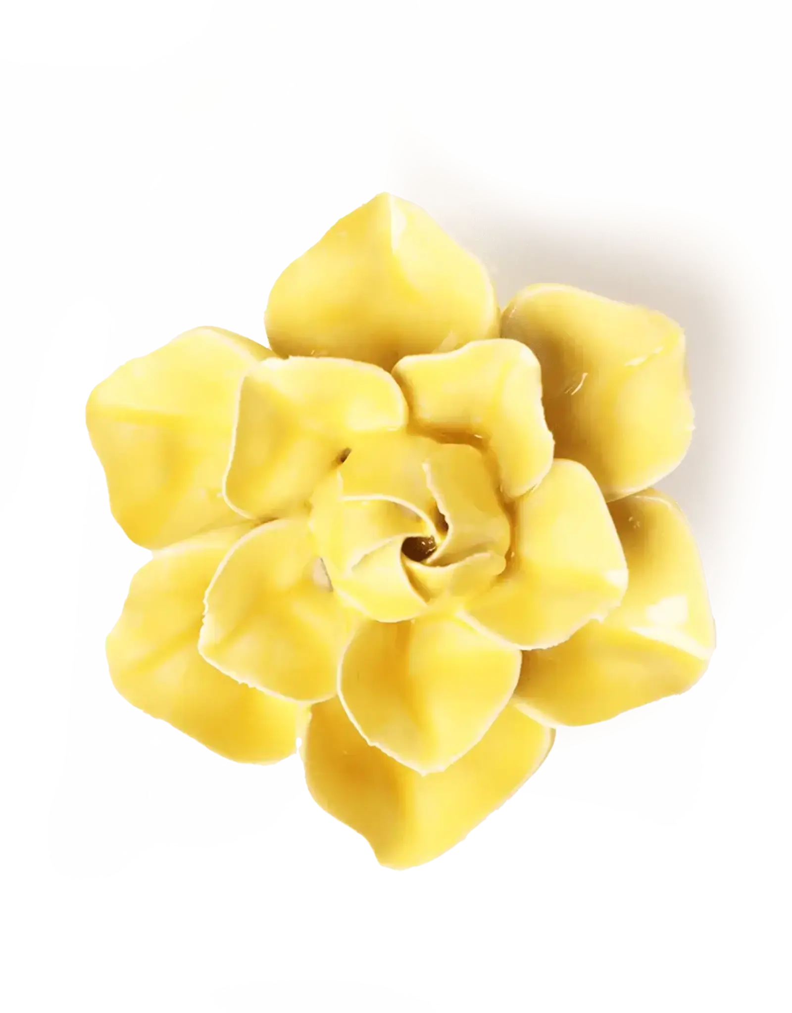 Chive Ceramic Flower Buttercup Yellow Daffodil EG45