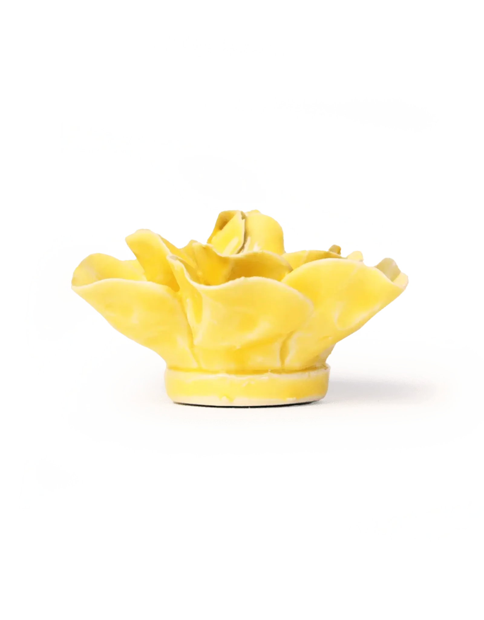 Chive Ceramic Flower Buttercup Yellow Daffodil EG45