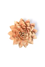 Chive Ceramic Flower Peach Pink Madonna Azalea FR33