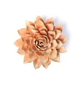 Chive Ceramic Flower Peach Pink Madonna Azalea FR33