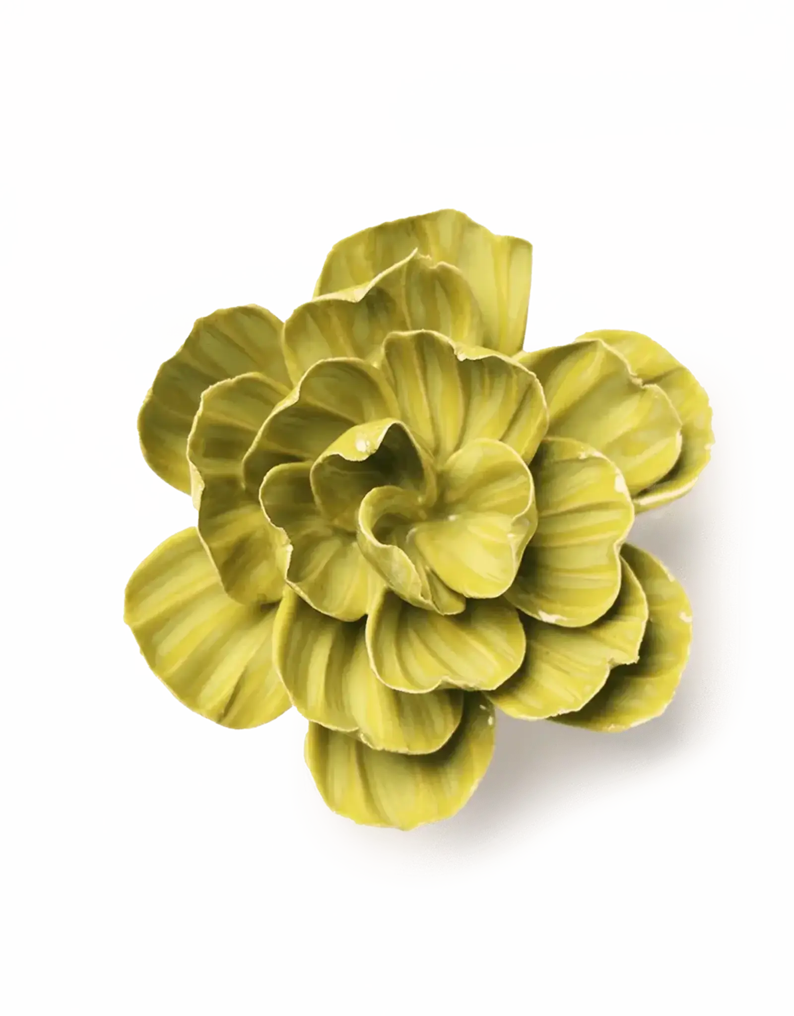 Chive Ceramic Flower Chartreuse Primrose EG50