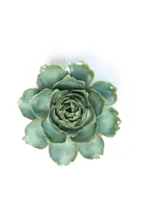 Chive Ceramic Flower Milk Teal Camelia FR27
