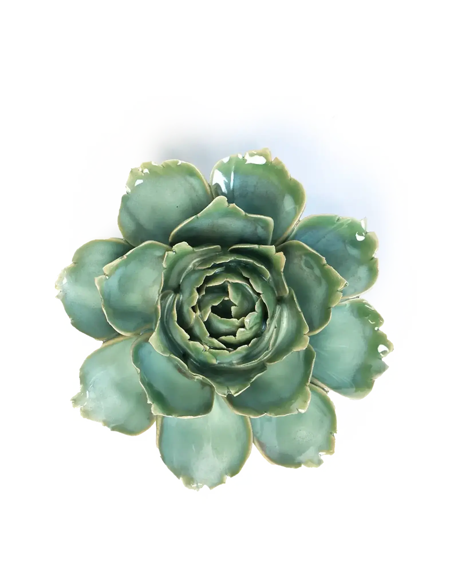 Chive Ceramic Flower Milk Teal Camelia FR27
