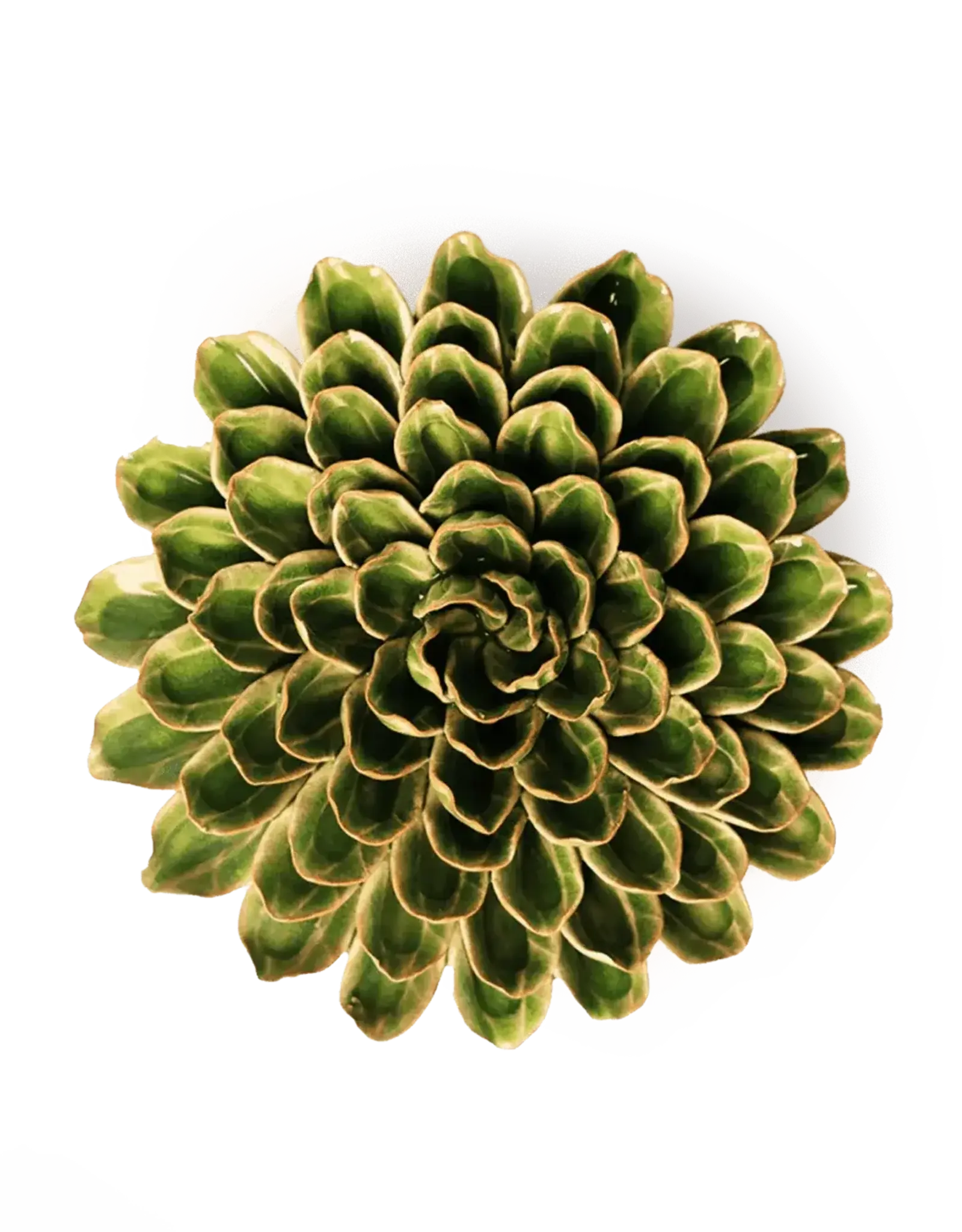 Chive Ceramic Flower Avocado Green Unicorn Zinnia EG20