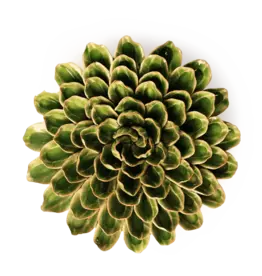 Chive Ceramic Flower Avocado Green Unicorn Zinnia EG20