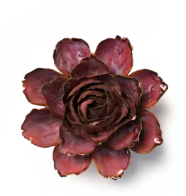 Chive Ceramic Flower Dewberry Camellia FR24