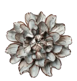 Chive Ceramic Flower Chocolate Mint Echo Lisianthus JA15