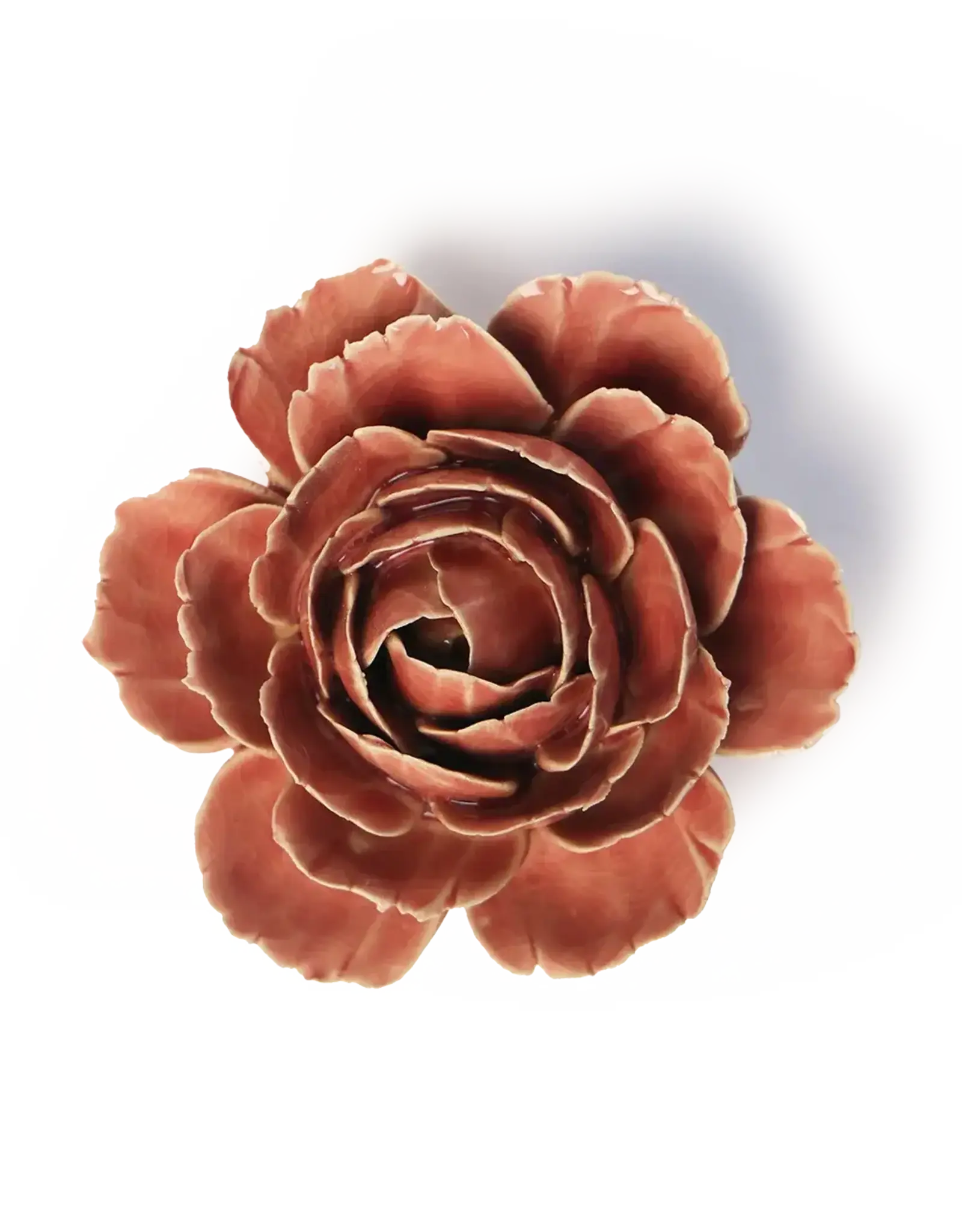 Chive Ceramic Flower Champagne English Rose FR39