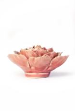 Chive Ceramic Flower Champagne English Rose FR39