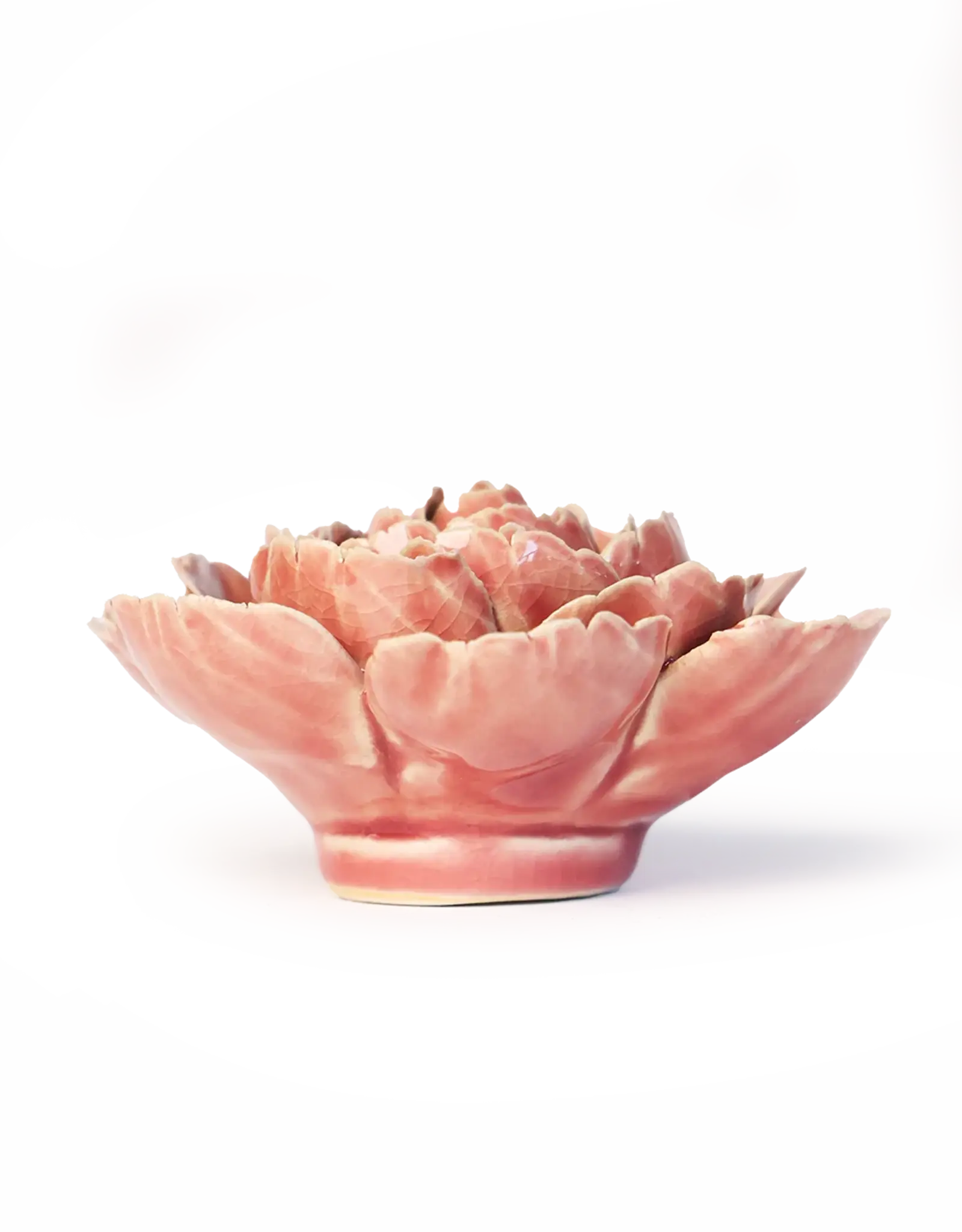 Chive Ceramic Flower Champagne English Rose FR39