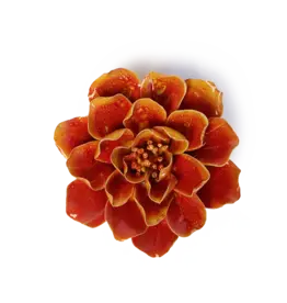 Chive Ceramic Flower Orange Yellow Coreopsis FR31