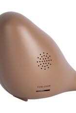 Present Time Soundbox Modern Bird Mocha Brown