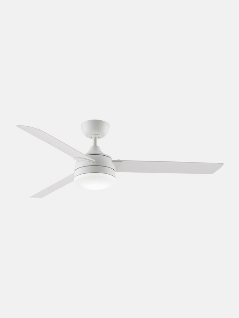 Xeno Wet Bonaire Coastal Living