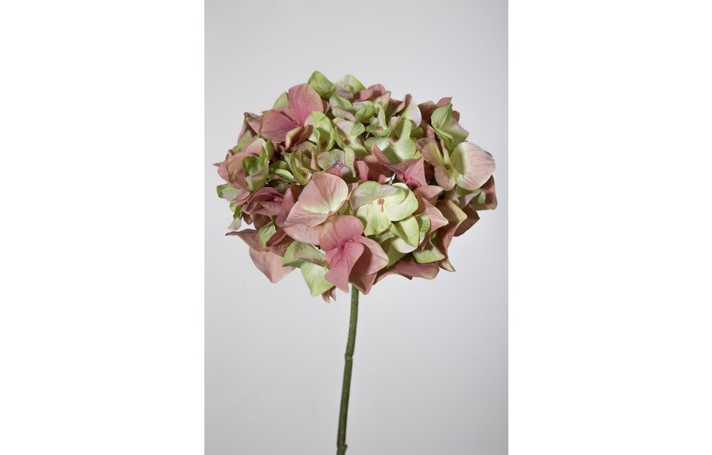 HYDRANGEA SINGLE STEM 47CM