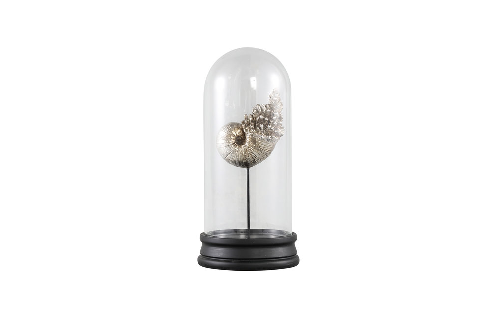 LISSE SILVER POLY SEASHELL STATUE GLASS BELL JAR