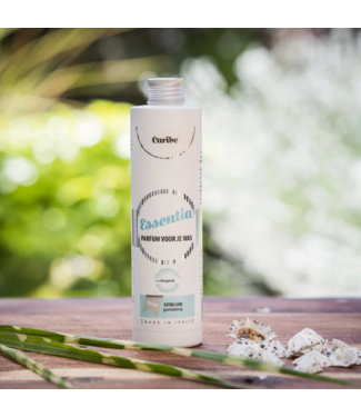 6. WASPARFUM Special Wasgeluk Wasparfum Caribe