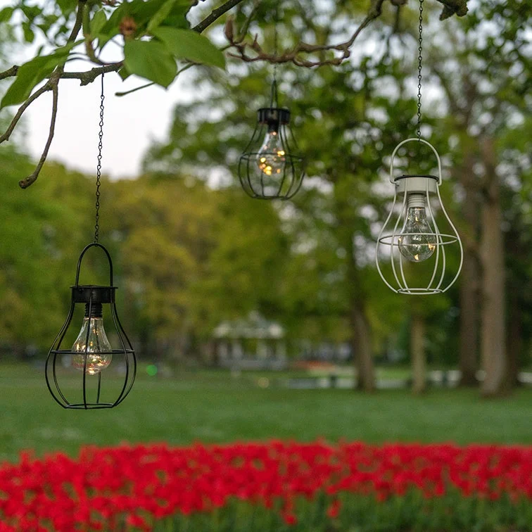 Geef je Buitenruimte een Groene Makeover met Solar Tuinverlichting