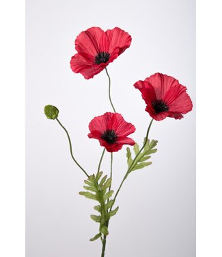 Colours & Green POPPY SPRAY X3 63 CM ROOD