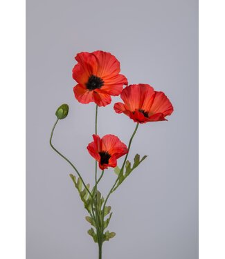 Colours & Green Poppy Spray 63cm DONKER ORANJE
