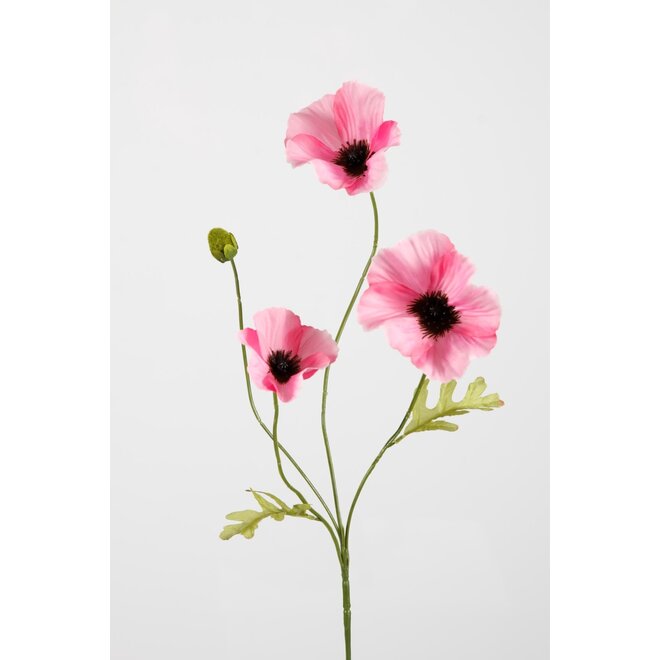 POPPY SPRAY X3 63 CM PINK