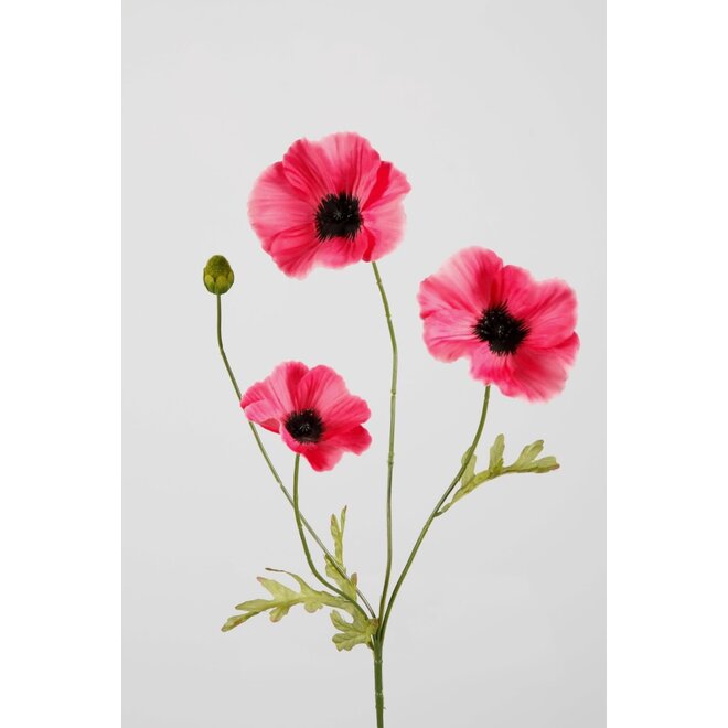 POPPY SPRAY X3 FL 63CM