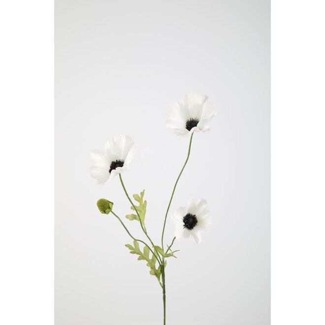 POPPY SPRAY X3 63 CM WHITE