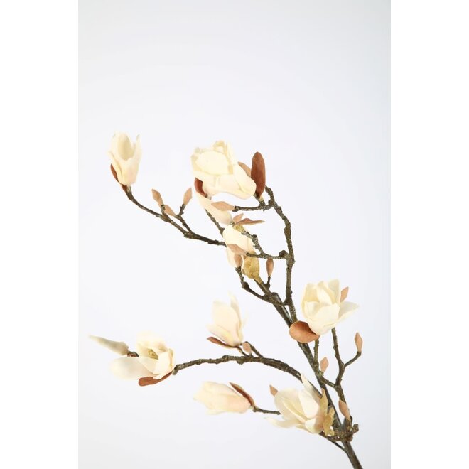 MAGNOLIA LEAF BRANCH 107CM