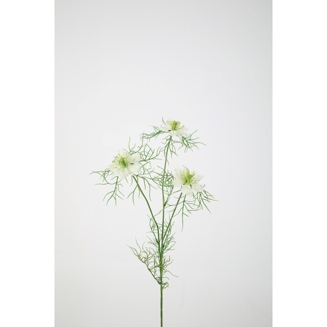 NIGELLA FLOWER STEM 62CM