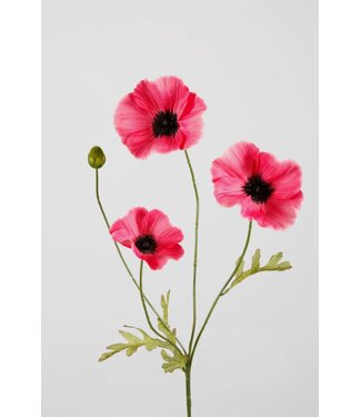 Colours & Green POPPY SPRAY X3 63 CM FUCHSIA/ROZE