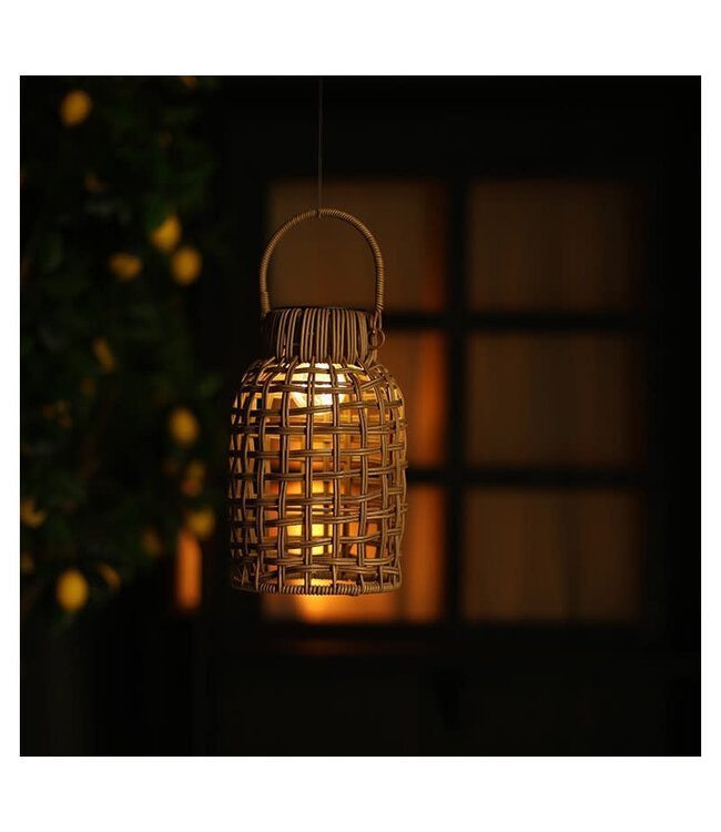 Solar Madora S bruin