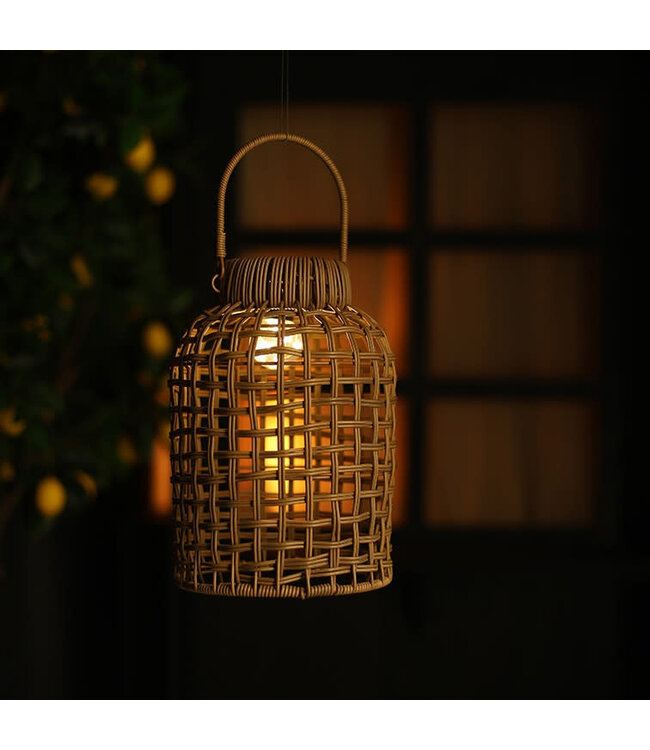 Solar Madora M bruin