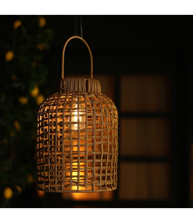 Solar Madora L bruin