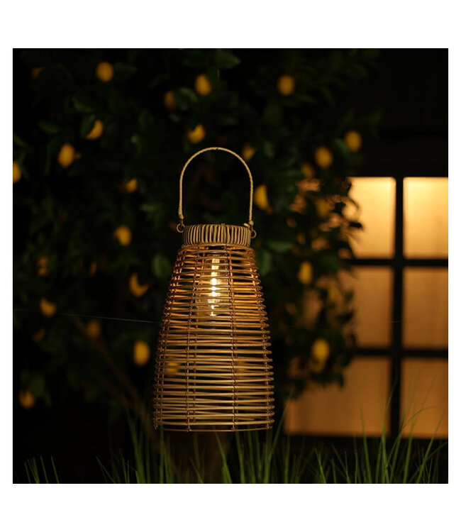 Solar con Anke M bruin