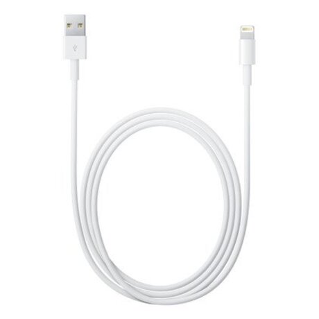Apple Lightning USB Kabel 2 m