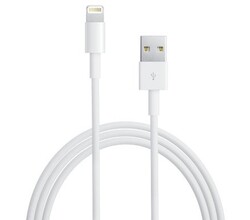 Apple Lightning to USB Cable 0,5 m
