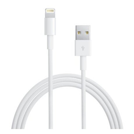 Apple Lightning to USB Cable 0,5 m