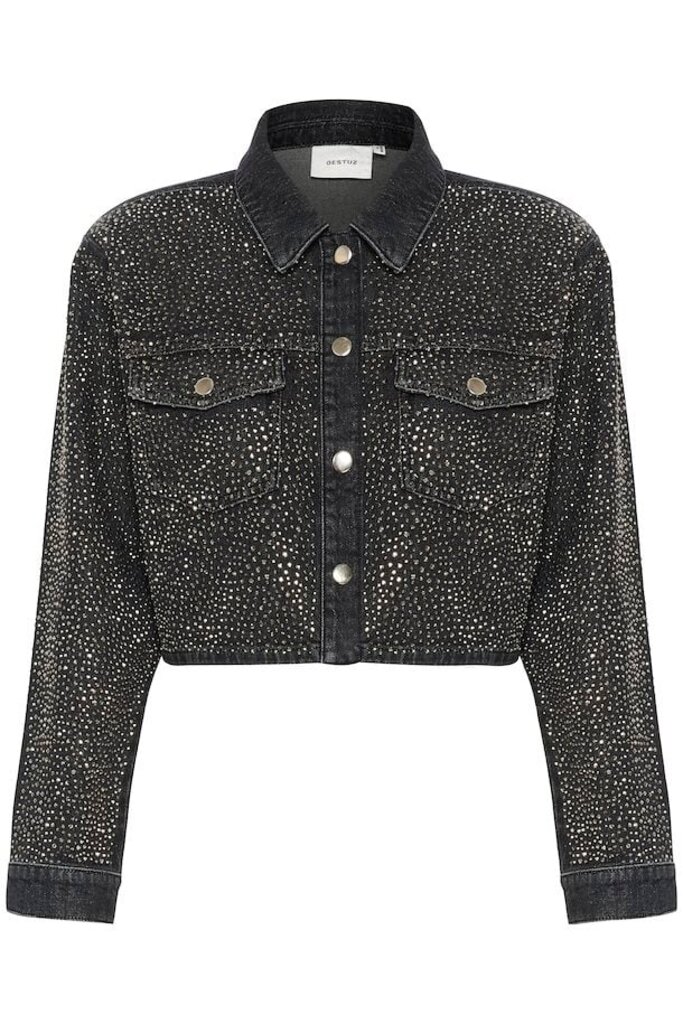 Glitter Jacket