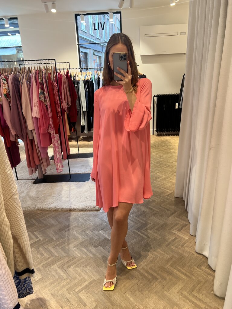 Long Sleeves Dress