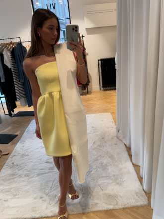 Rhune Pisa Dress - Rhúne