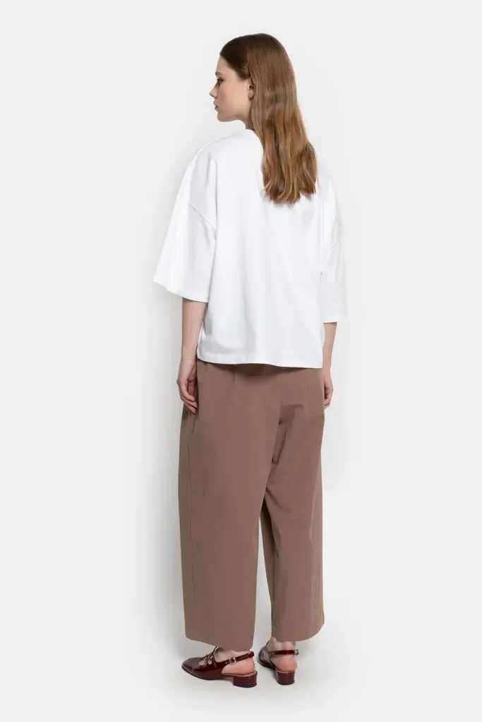 Brown pleated pants