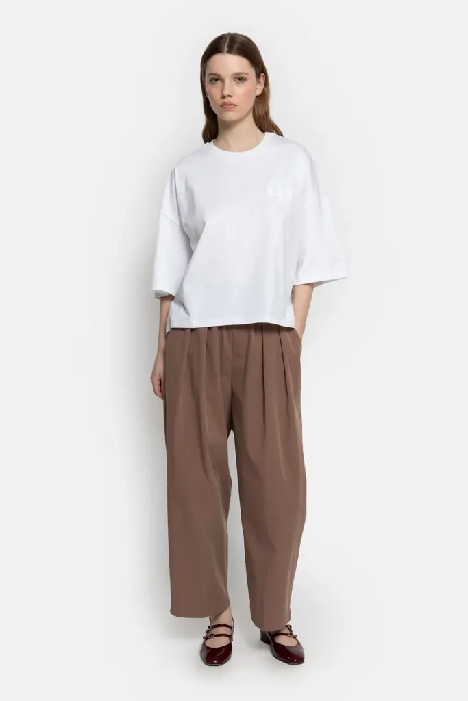 Brown pleated pants