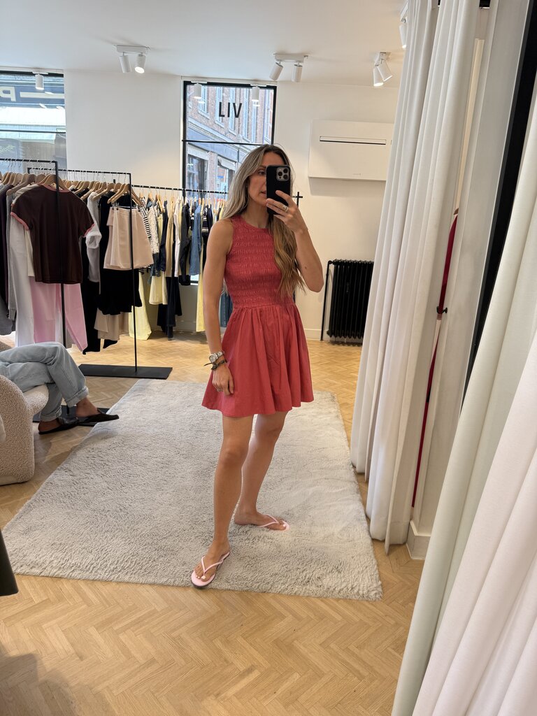 Xirena Raspberry smockdress