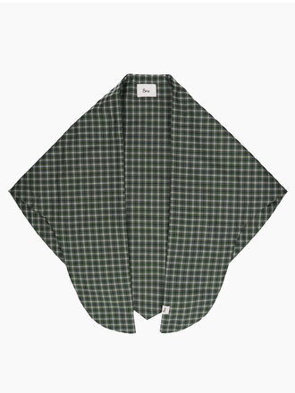 8 PM Green check scarf