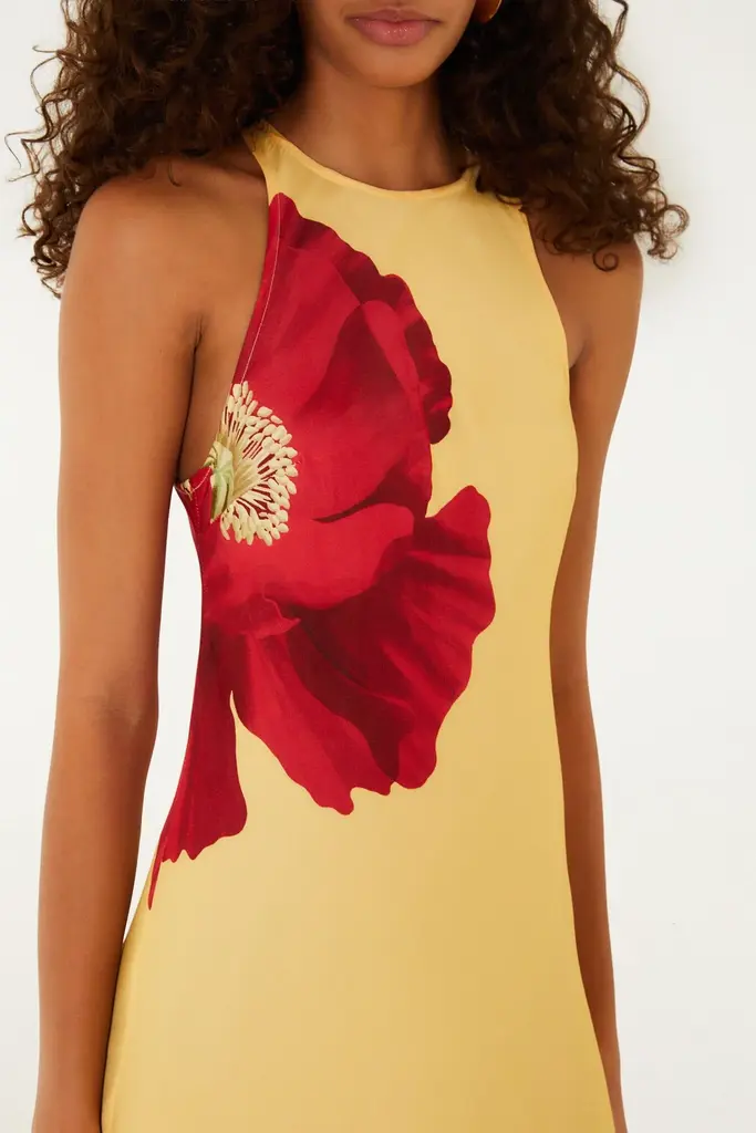 FARM Rio Poppy maxi dress